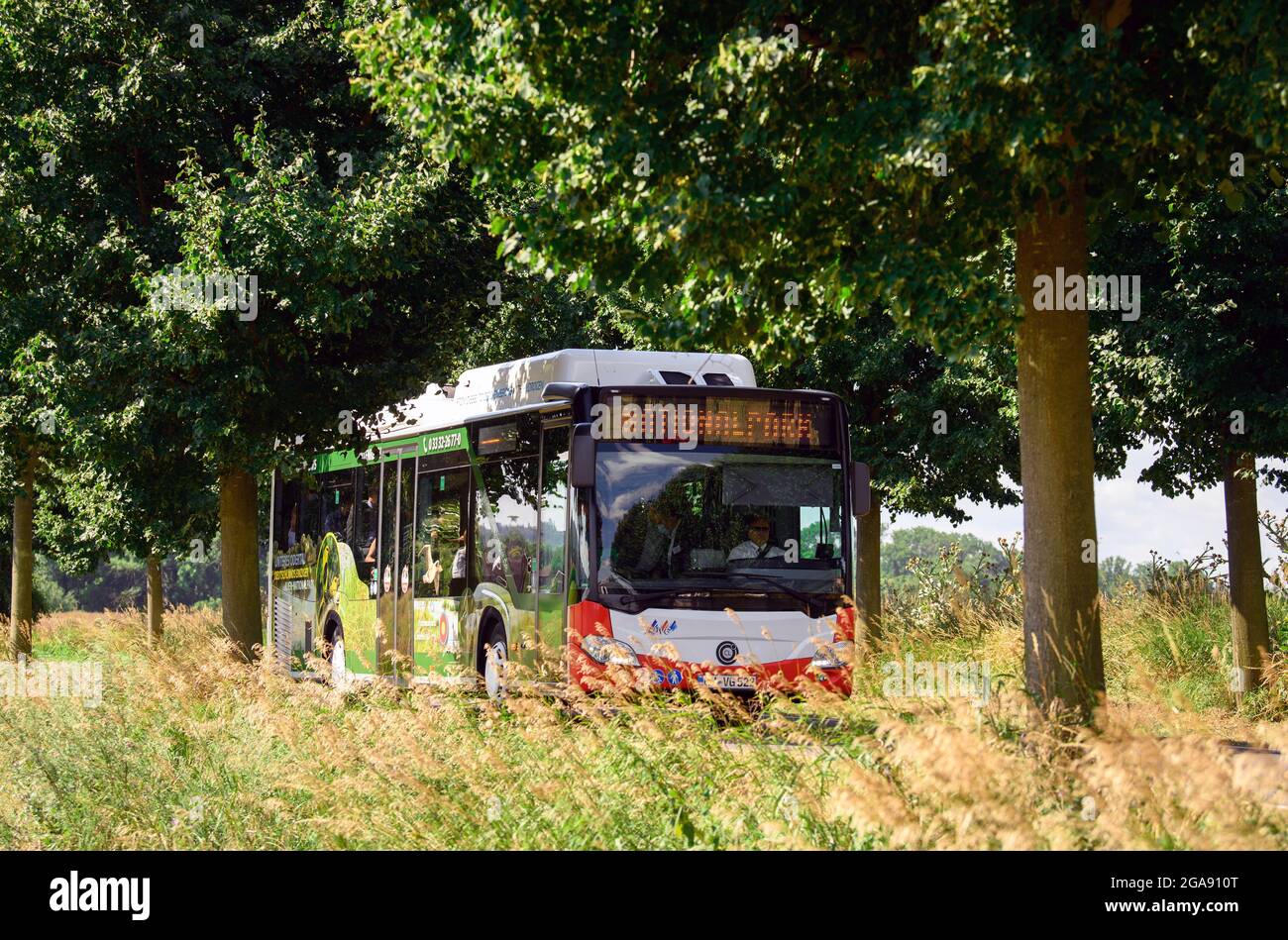 29 luglio 2021, Brandenburg, Schwedt/OT Criewen: Uno dei primi due autobus in Europa ad essere convertito in tecnologia a celle a combustibile a idrogeno viaggia con gli ospiti alla presentazione degli autobus sulla strada da Criewen a Schwedt. I veicoli climatizzati sono in servizio con il Uckermärkische Verkehrsgesellschaft (UVG) e viaggiano anche lungo il Parco Nazionale della bassa valle dell'Oder. I bus a idrogeno, precedentemente alimentati a diesel, ora funzionano con idrogeno verde prodotto dalla società ENERTRAG utilizzando l'energia eolica della regione Uckermark. Foto: Soeren Stache/dpa-Zentralbild/dpa Foto Stock