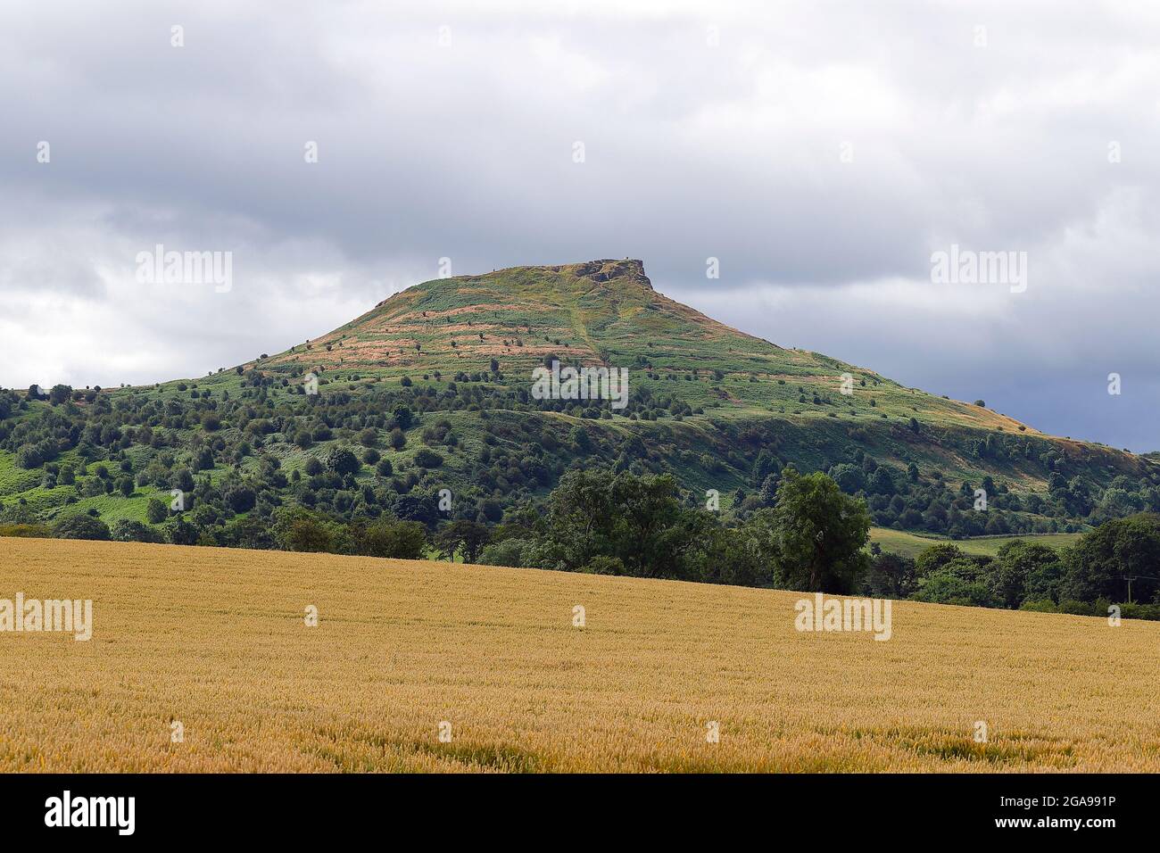 Roseberry Topping nel Nord Yorkshire, Regno Unito Foto Stock