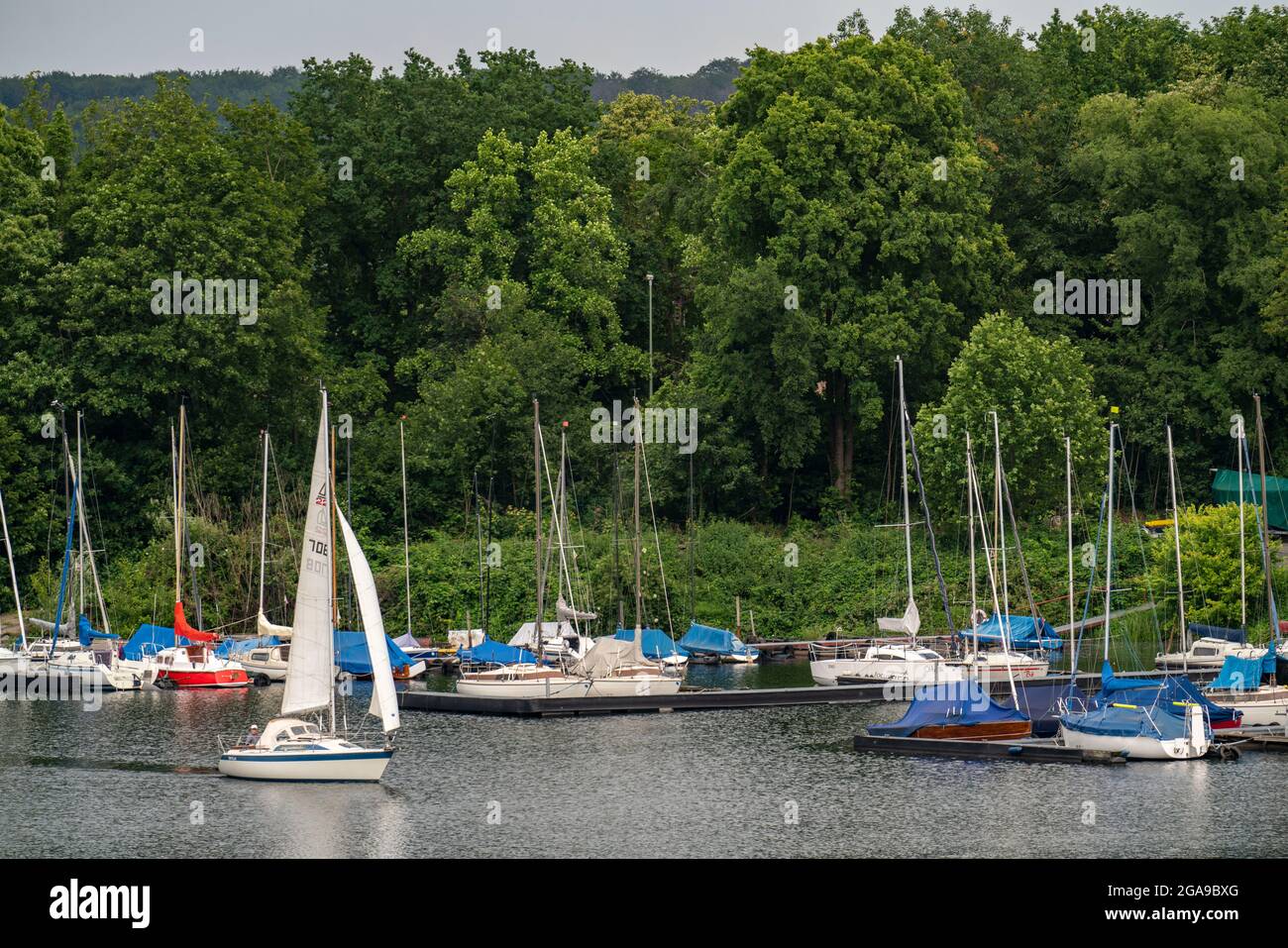 Il Sechs-visto-Platte, un'area ricreativa nel sud di Duisburg, vicino al quartiere Wedau, 6 ex fosse di ghiaia, barca a vela sul Masurensee, Du Foto Stock