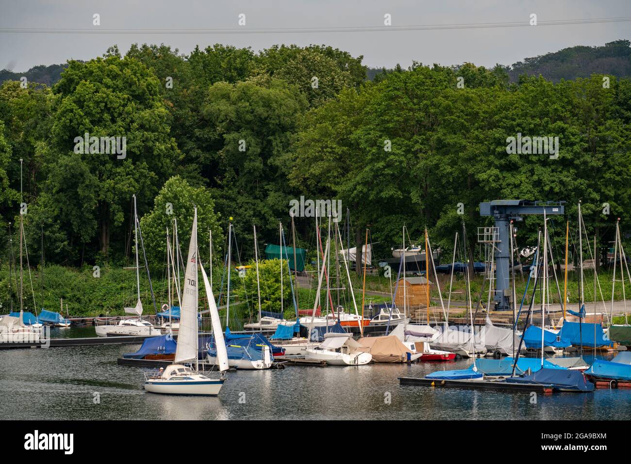 Il Sechs-visto-Platte, un'area ricreativa nel sud di Duisburg, vicino al quartiere Wedau, 6 ex fosse di ghiaia, barca a vela sul Masurensee, Du Foto Stock