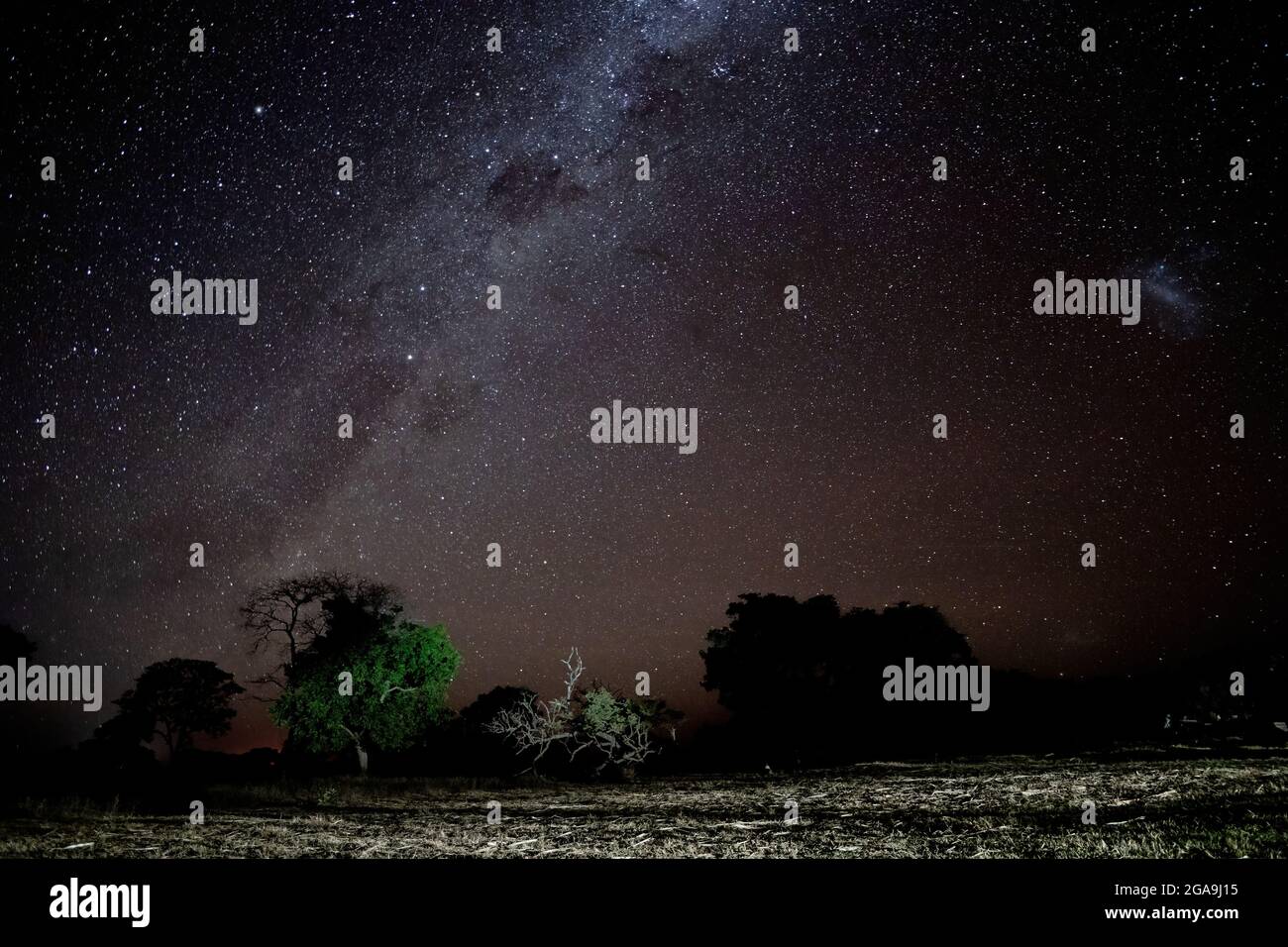 Panorama di cielo notturno limpido con stelle e milkway da via lactea Foto Stock