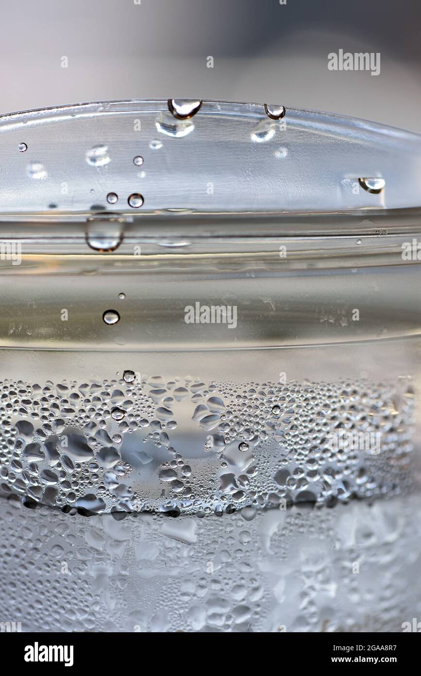 Le gocce di condensa si attaccano ai lati di una tazza da bibita monouso in plastica trasparente piena di acqua ghiacciata Foto Stock