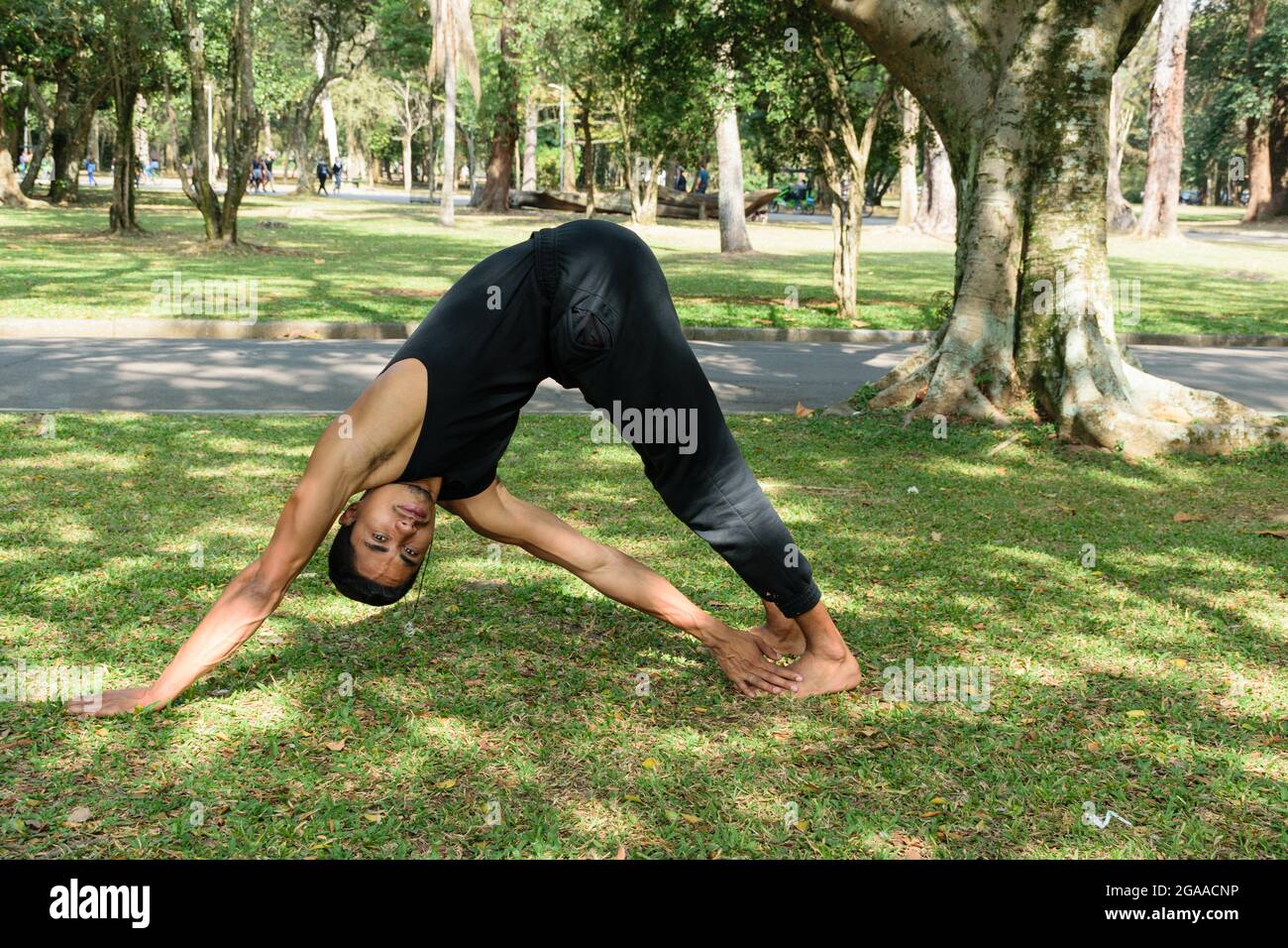 Giovane brasiliano che pratica yoga in un parco pubblico in una giornata di sole. Foto Stock