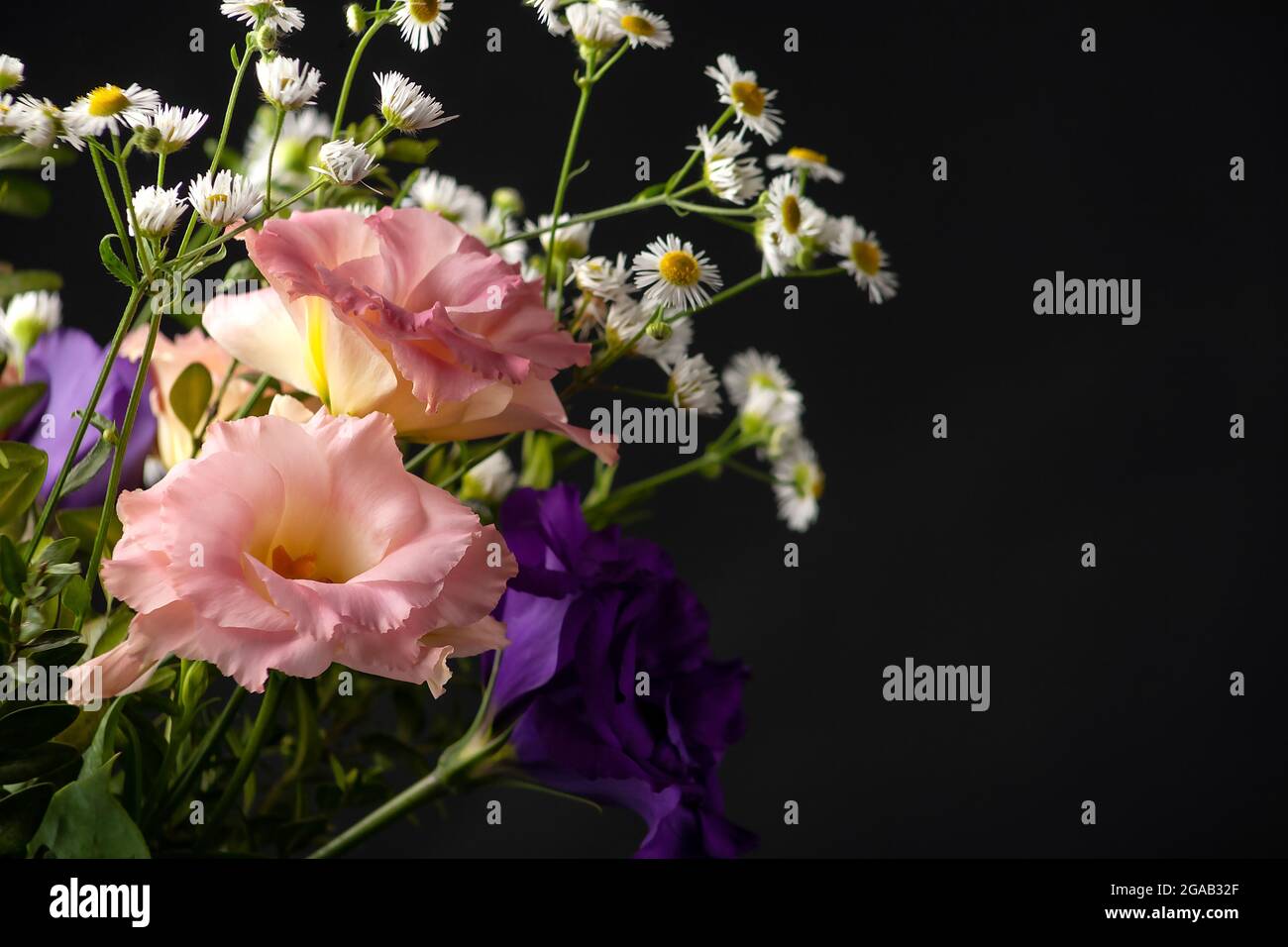 Bouquet di eustoma con bosso e rametti a foglia piccola su un tavolo su fondo nero Foto Stock