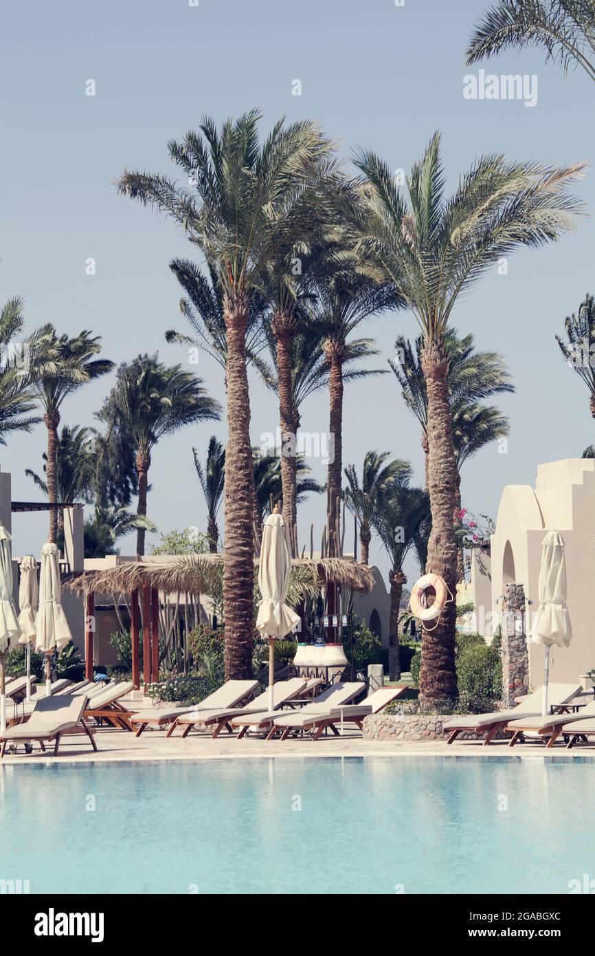 Egitto, Sharm el-Sheik, 06.01.2021, vista sulla zona piscina con lettini e palme all'interno dell'hotel. Vacanza estiva. Sfondo natura Foto Stock