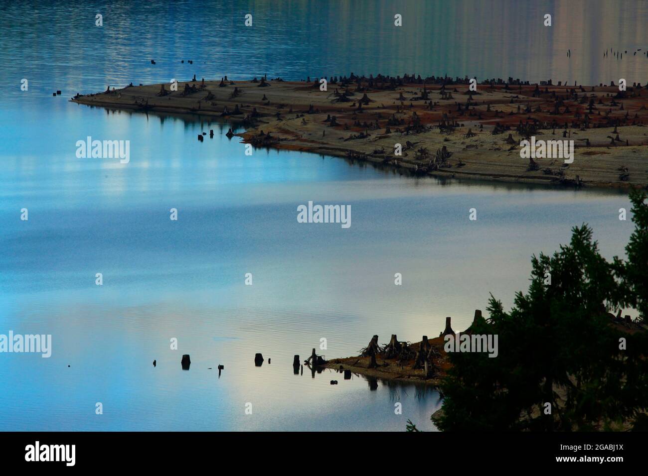 Una foto esterna di un lago della foresta pluviale del Pacifico nord-occidentale Foto Stock