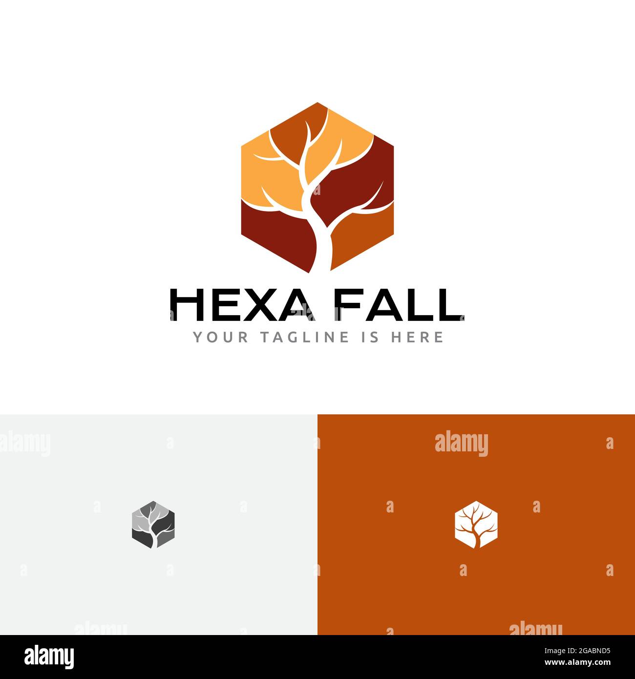 Hexad Tree Autunno Autunno Stagione natura Business Logo Illustrazione Vettoriale