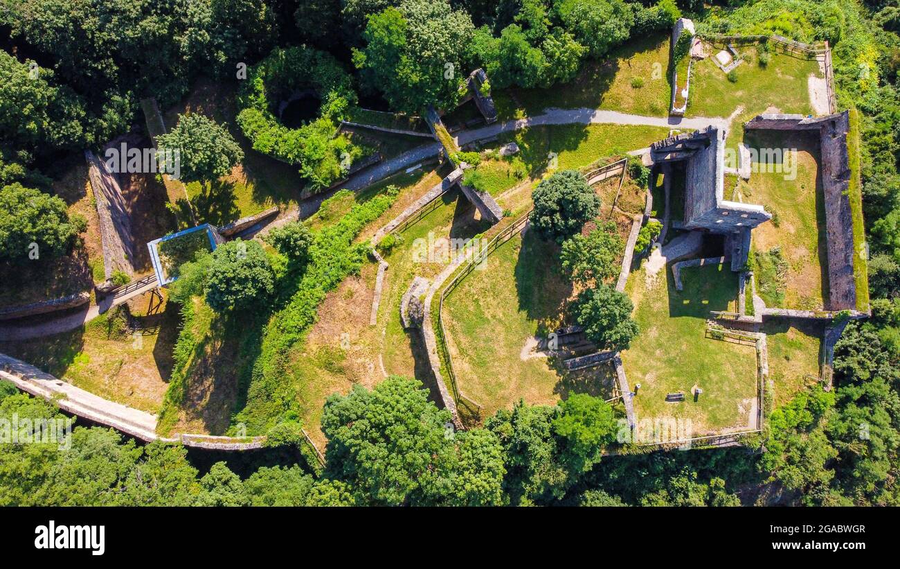 Burg Donaustauf Burgruine, Bezirk Landkreis Regensburg, Oberpfalz, Bayern, Germania, Europa Foto Stock