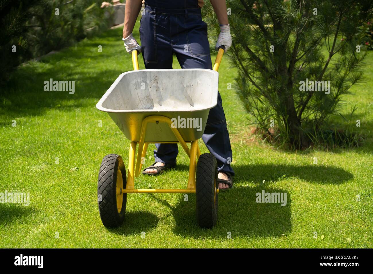 Un giovane uomo con le mani in guanti sta trasportando un carrello di giardino di metallo Foto Stock