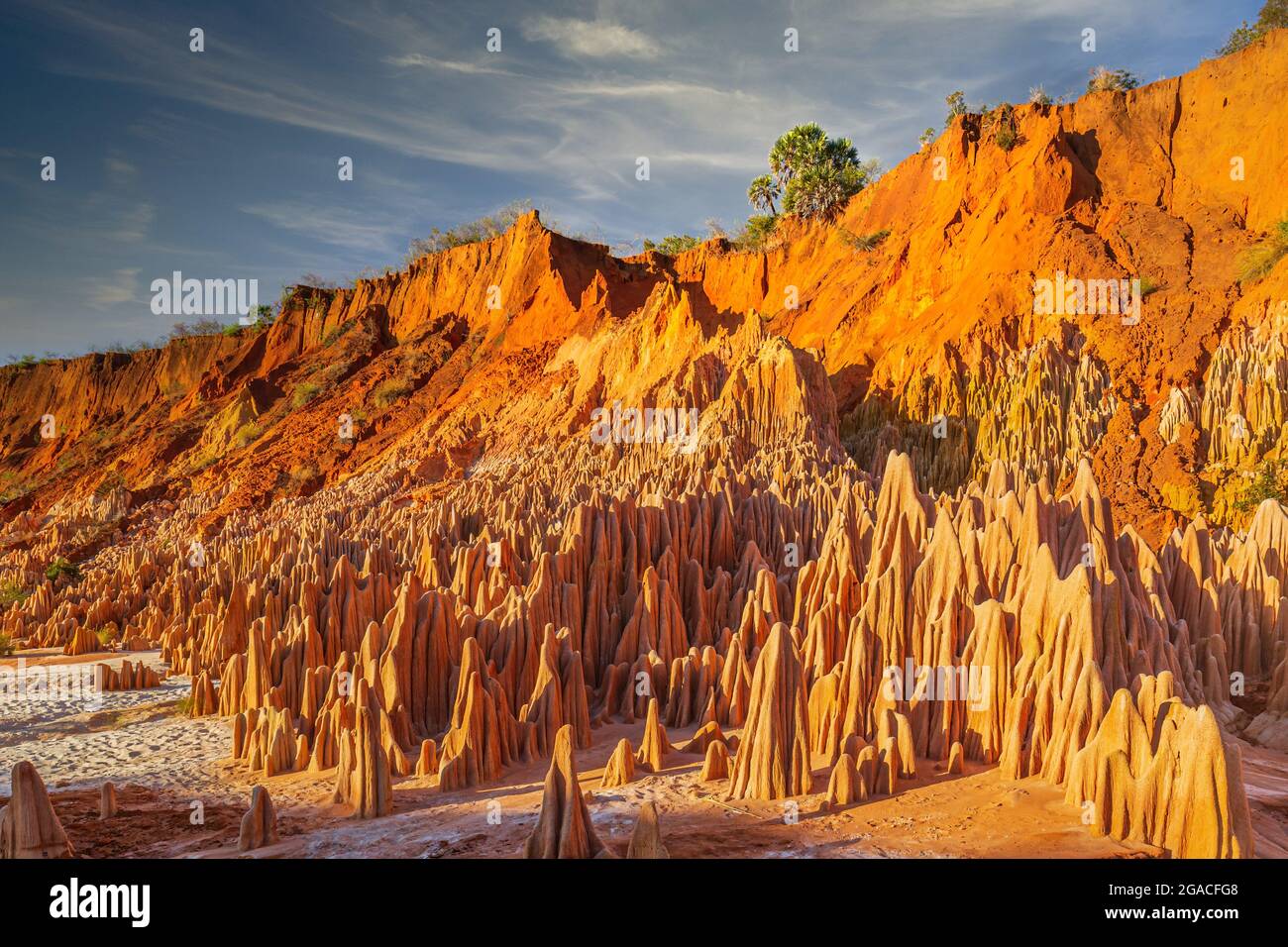 Tsingy rosso o Tsingy Rouge nella regione di Diana Foto Stock