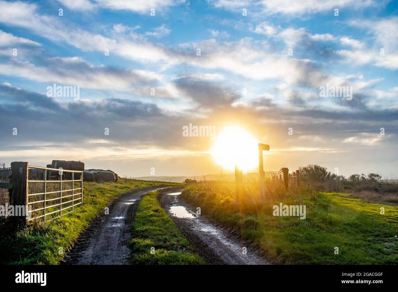 Farmers trattore cancello e pista fangosa con balle di fieno e basso sole arancione subito dopo l'alba sulla cima di una collina a Kimmeridge, Dorset Foto Stock