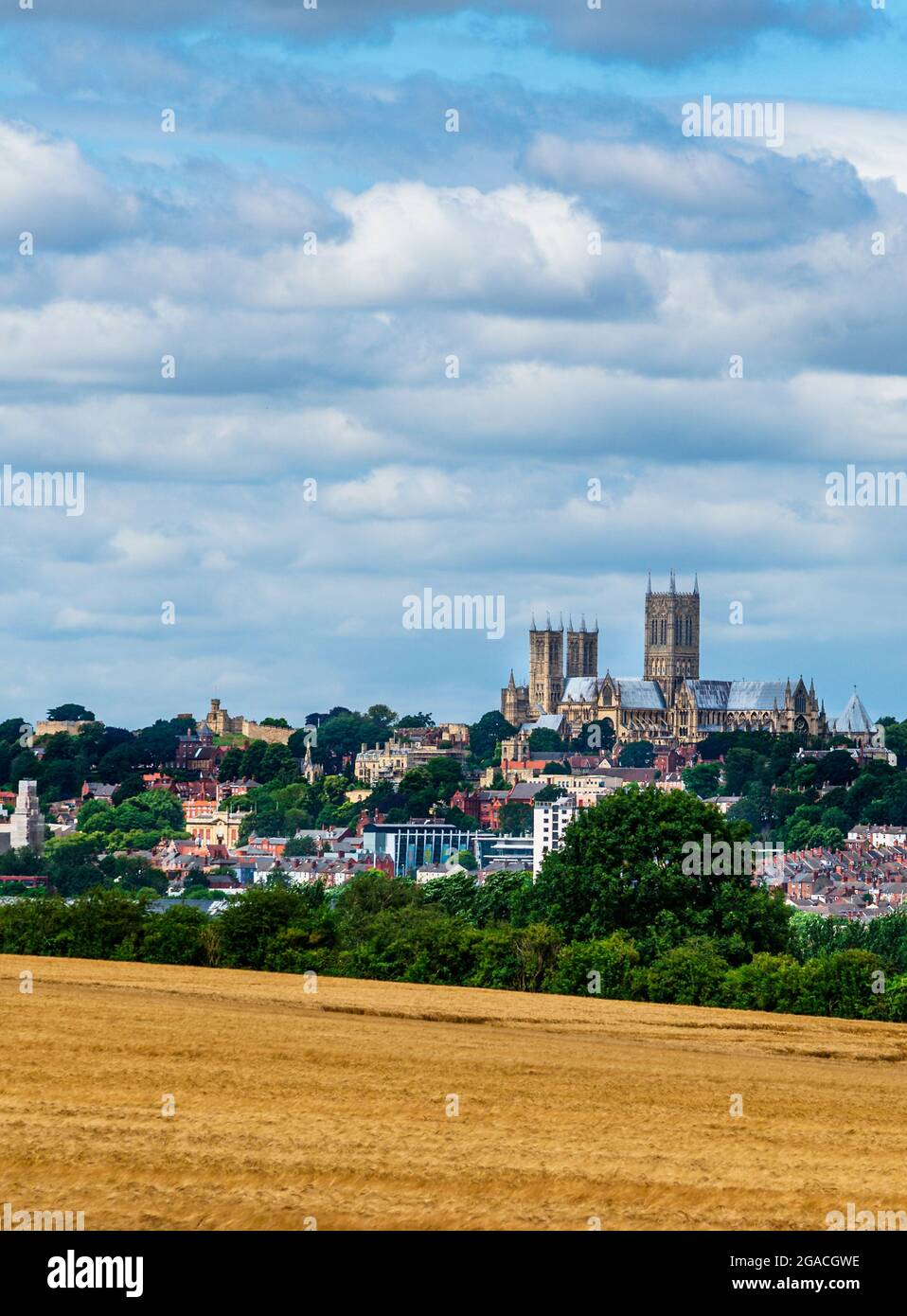 Lincoln Cathedral, Lincoln Minster, o la Cattedrale della Beata Vergine Maria di Lincoln - dalla collina a Canwick Foto Stock