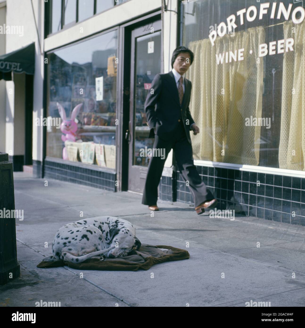 Il cane è sdraiato sul marciapiede sui vestiti. San Francisco CA, USA, 1977 Foto Stock
