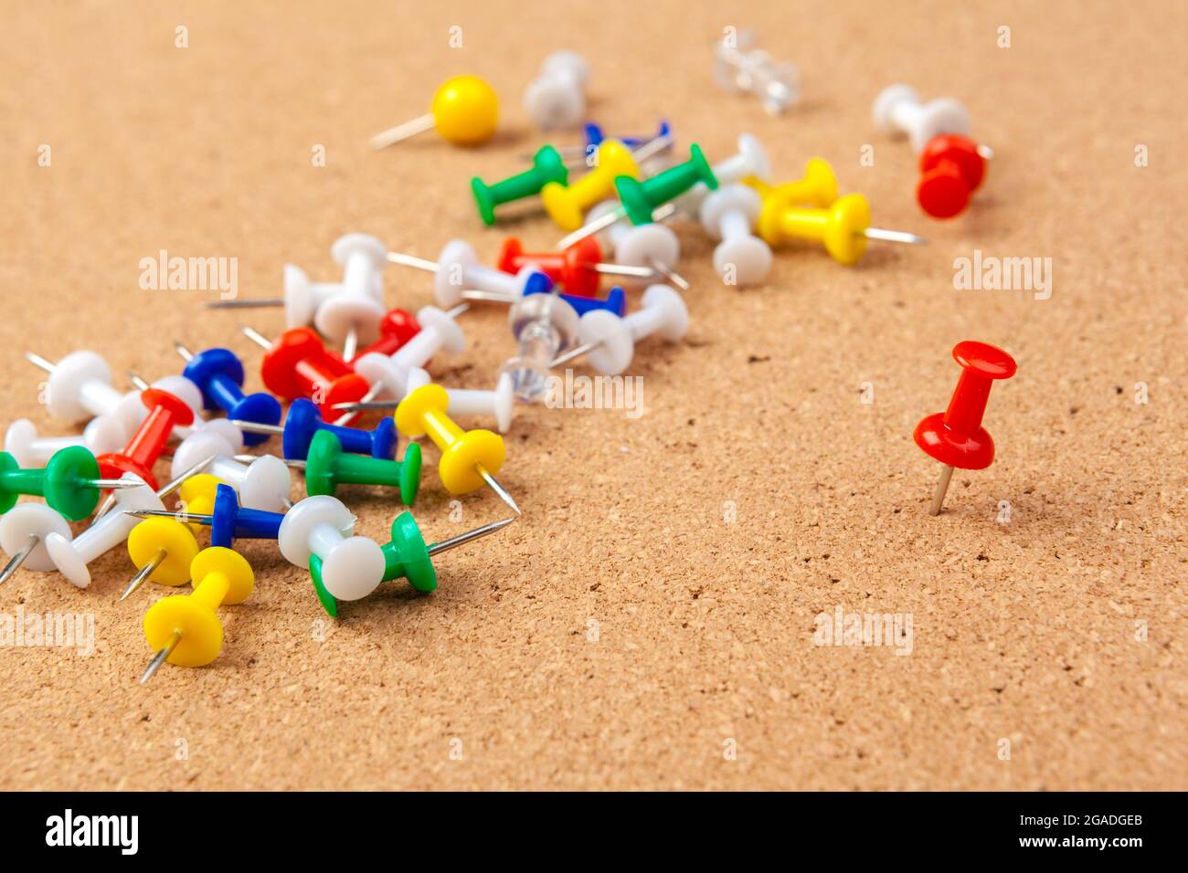 Gruppo di thumbtacks imperniata sulla bacheca Foto Stock