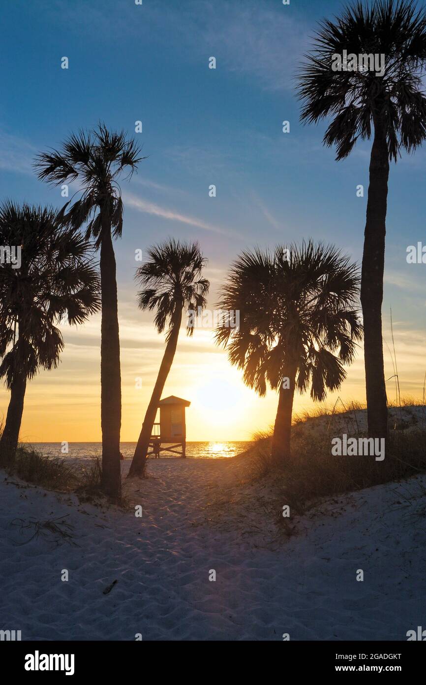 Palme e dune con un rifugio bagnino al tramonto, Clearwater Beach, Florida Foto Stock