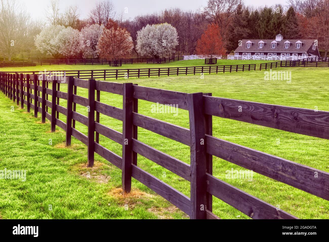 Scena di primavera di Hunterdon Country con una scuderia, Tewksbury, New Jersey Foto Stock