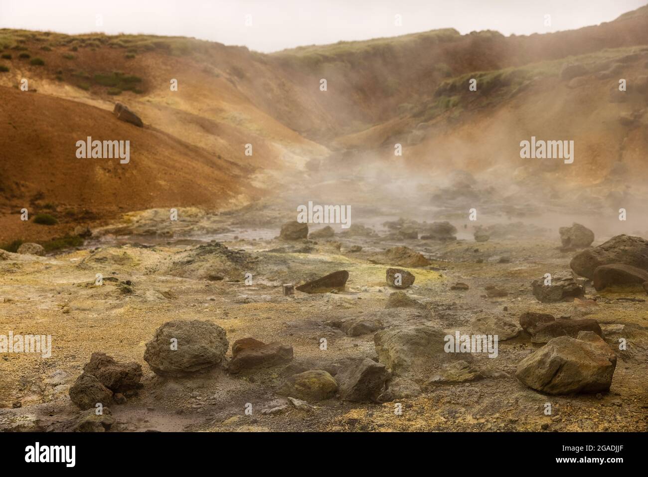 il vapore sale dalle piscine di fango bollenti e dal paesaggio lunare della zona geotermica di seltun nel sud-est dell'islanda Foto Stock