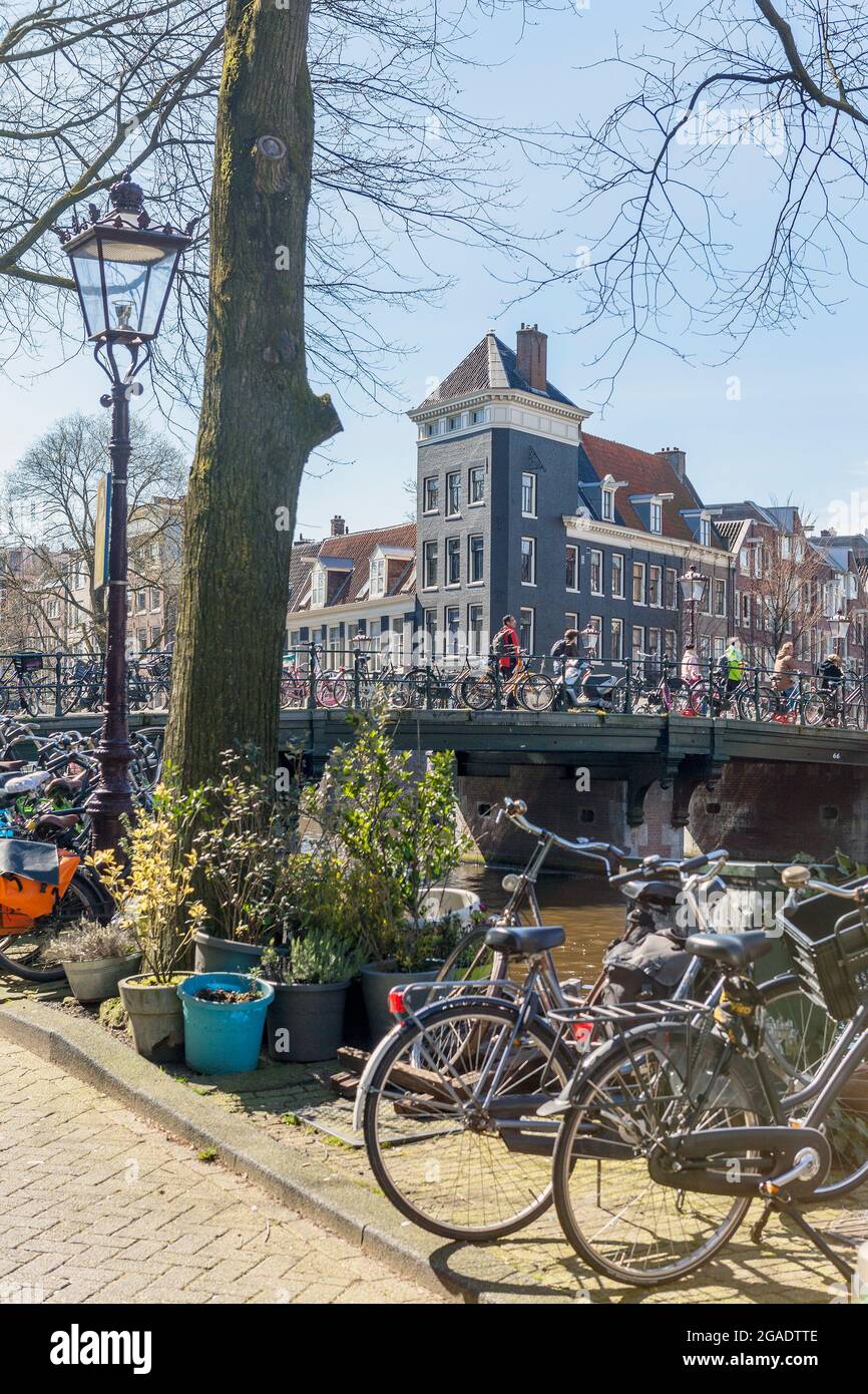 Runstraat, Ponte 66, attraverso il canale Prinsengracht, Amsterdam, Paesi Bassi Foto Stock