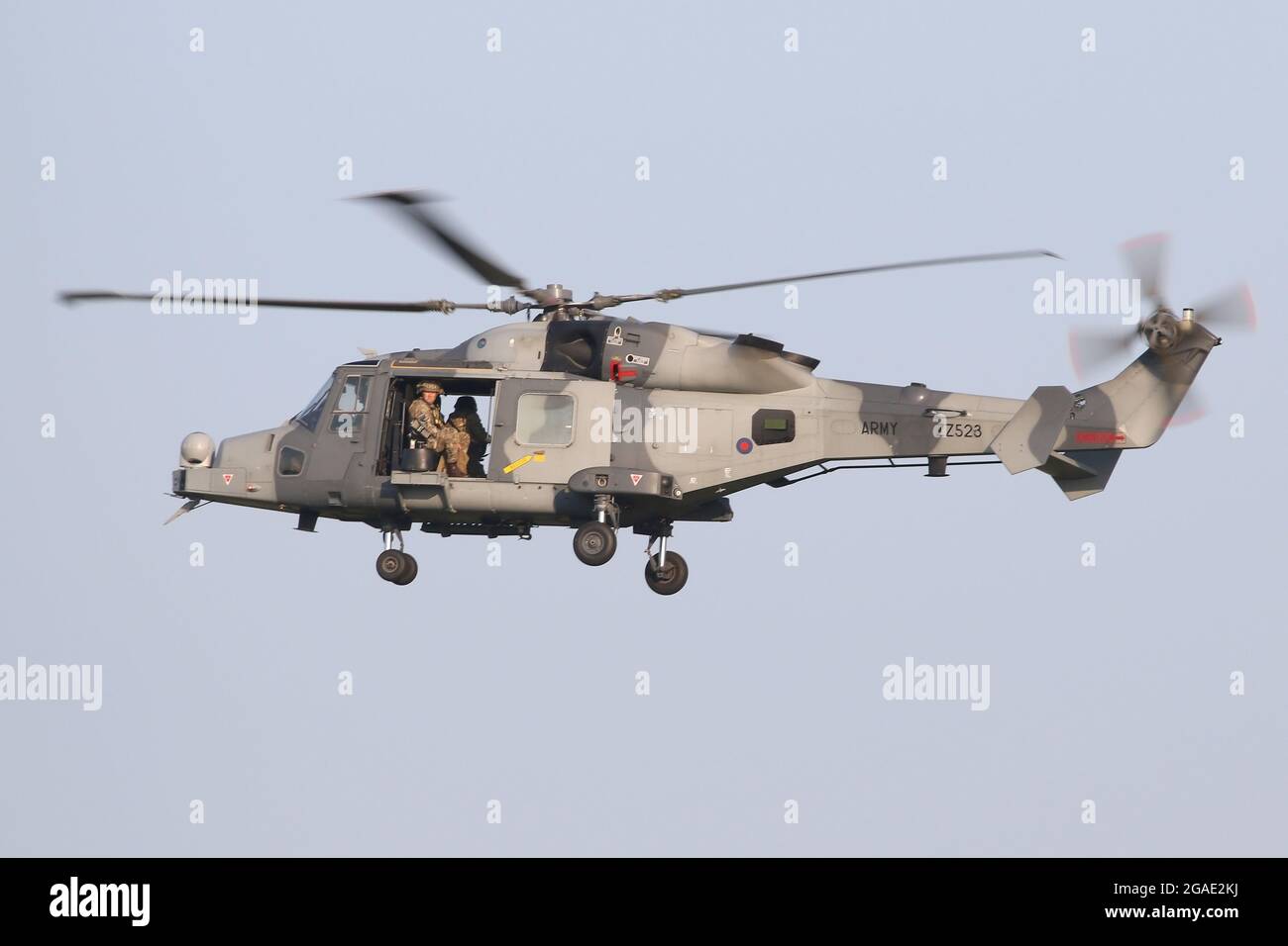 Esercito Air Corps Wildcat AH1 atterraggio elicottero a Wattisham a Suffolk. Foto Stock