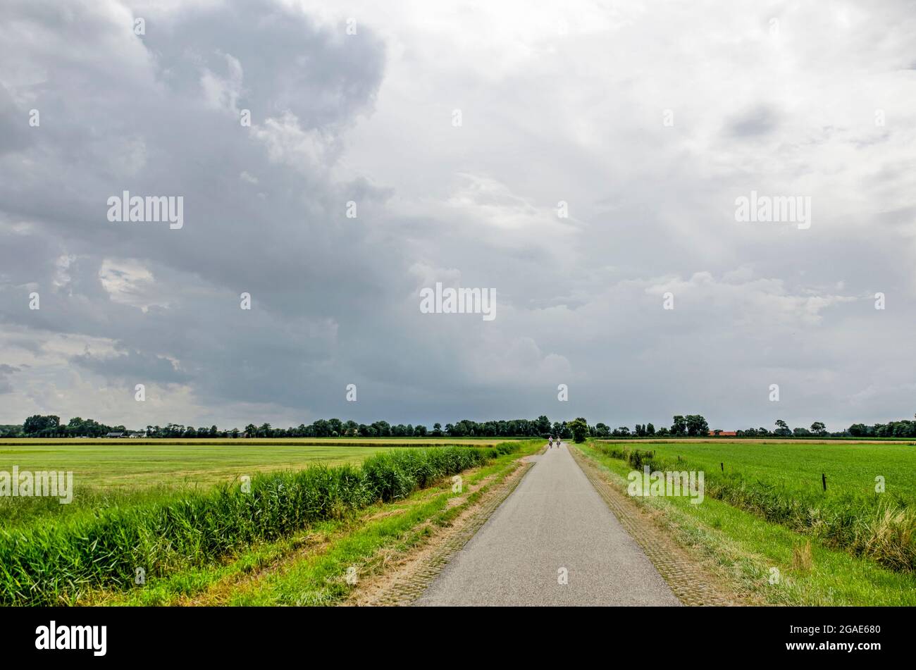 Stretta strada asfaltata sotto un cielo con nuvole che indicano un temporale in avvicinamento sull'isola di Walcheren, Paesi Bassi Foto Stock