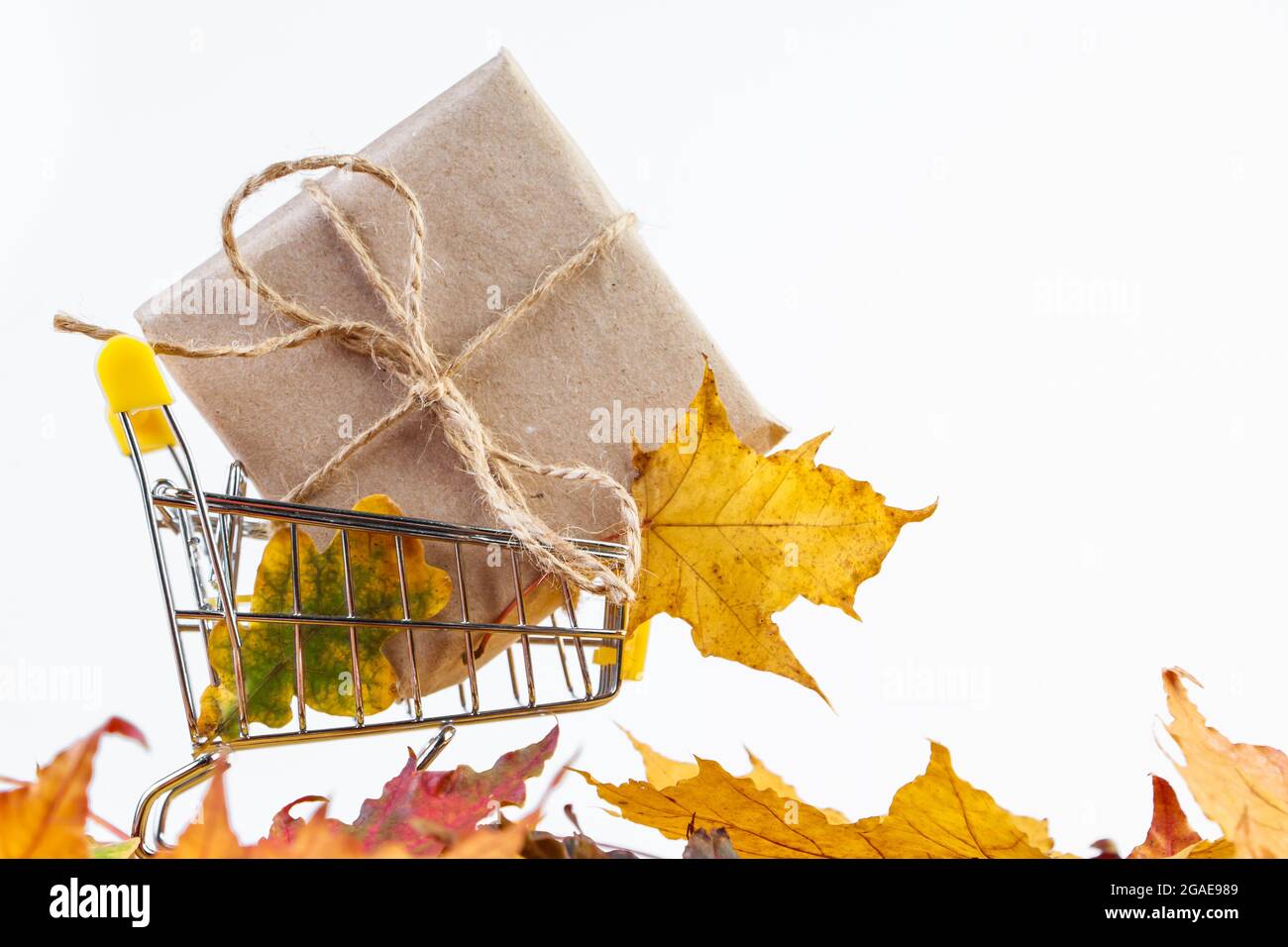 Vendita autunnale. Banner di sconto per la pubblicità. Carrello della spesa e foglie gialle cadute su sfondo bianco. Spazio di copia. Foto Stock