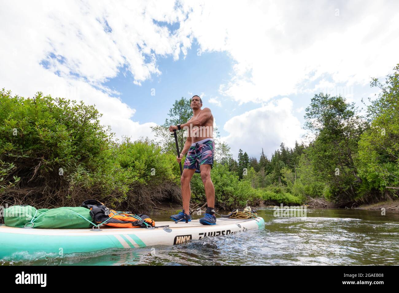 Persone avventurose paddle boarding in un fiume Foto Stock