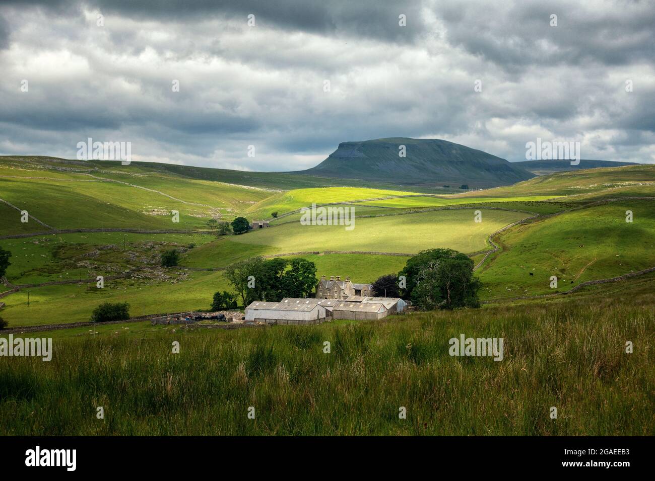VEW di Pen-y-ghent da Henside Road in una splendida luce, guardando Silverdale Road, Yorkshire Dales National Park Foto Stock