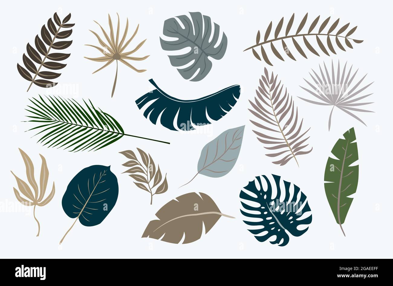 raccolta di foglie tropicali isolate su sfondo bianco, illustrazione vettoriale Illustrazione Vettoriale