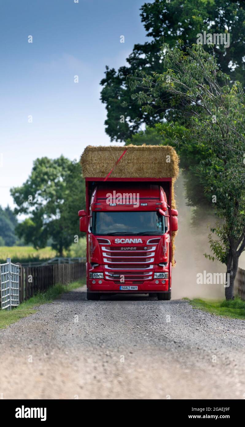 Autocarro con carico di paglia scendendo su una pista polverosa fattoria, Yorkshire, Regno Unito. Foto Stock