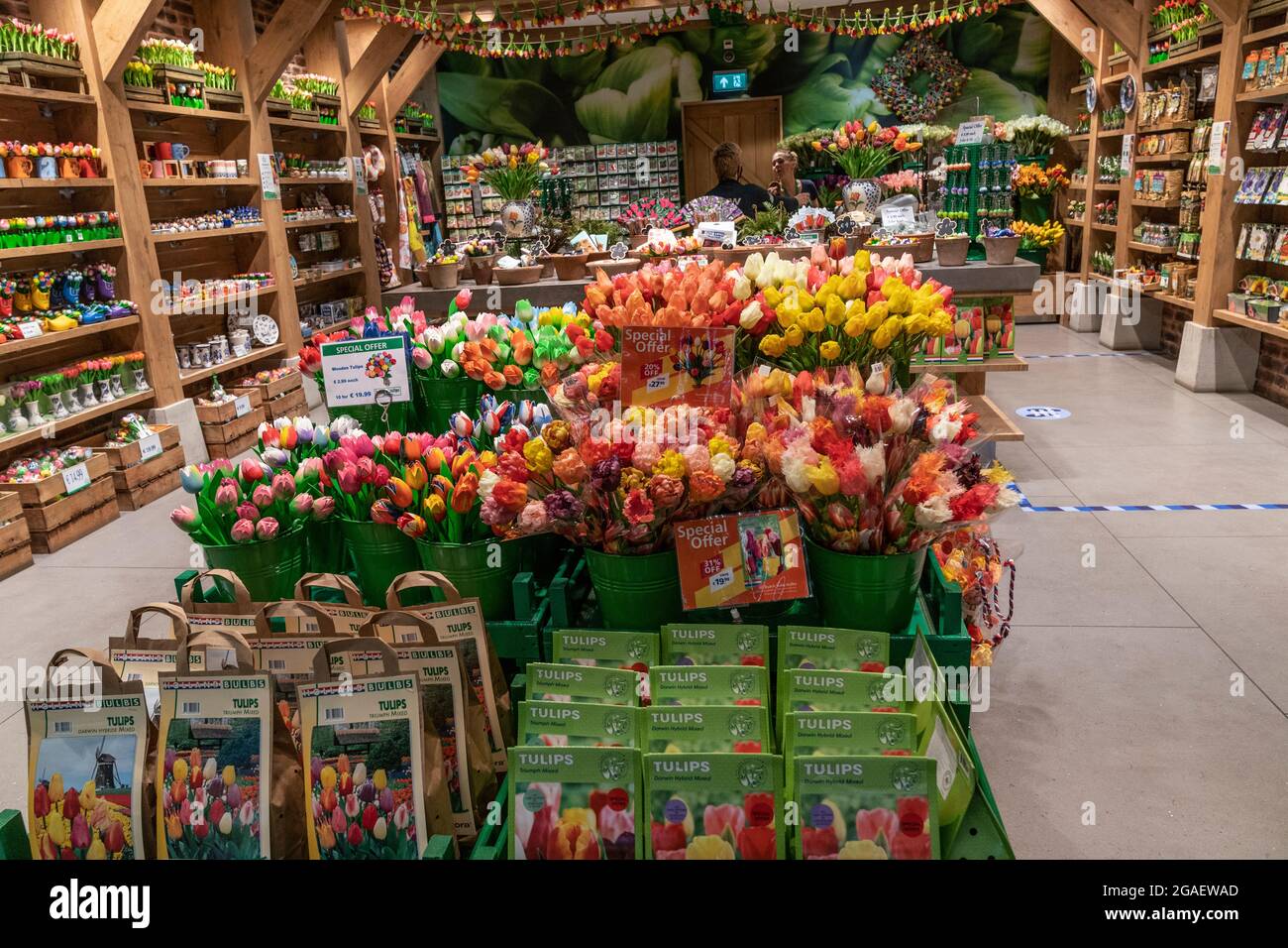 Amsterdam, Paesi Bassi - 29 luglio 2021: Casa di tulipani negozio visto all'aeroporto di Shiphol. I viaggiatori completamente vaccinati sono autorizzati a viaggiare durante la pandemia, ma devono indossare maschere negli aeroporti e durante il viaggio in aereo. Foto Stock