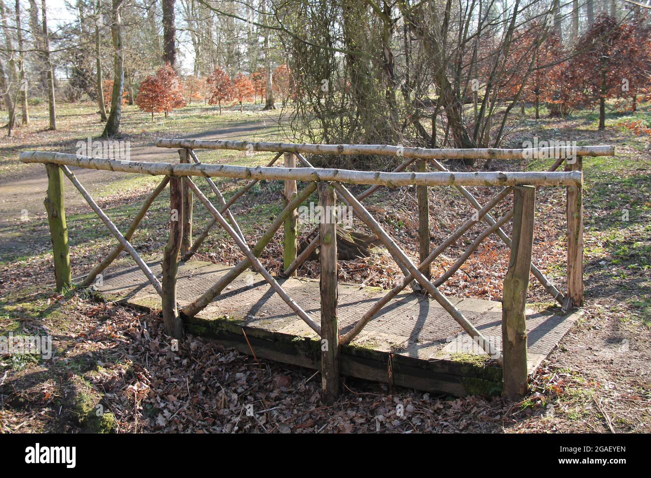 Un pittoresco Ponte di legno in un ambiente di Bosco. Foto Stock