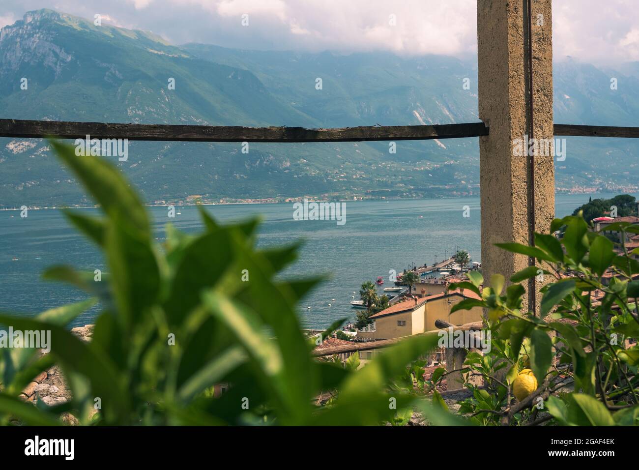 Foglie di limoni e le splendide Dolomiti sullo sfondo Foto Stock