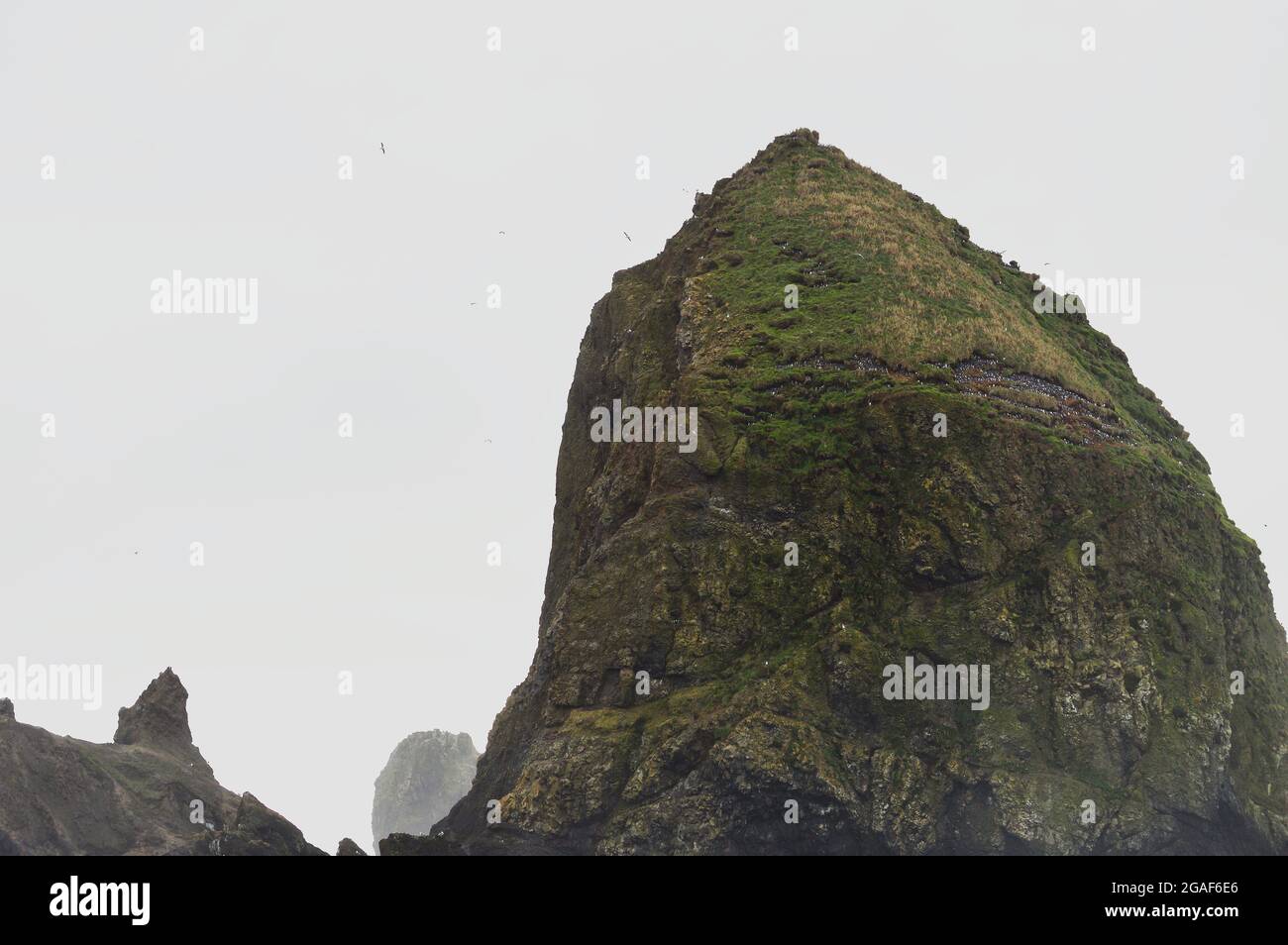 Haystack Rock primo piano a Cannon Beach, Oregon Foto Stock