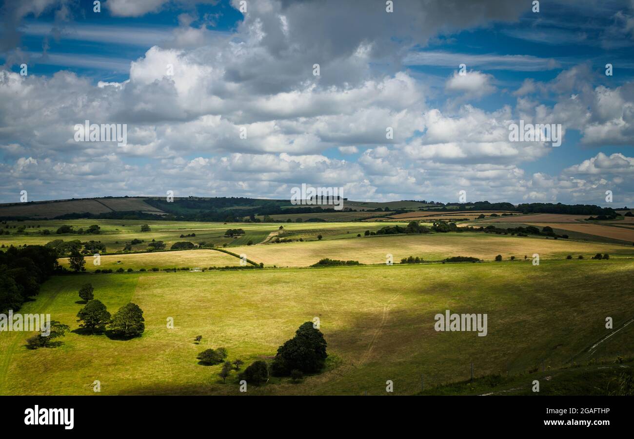 La vista da Cissbury Ring North verso Chanctonbury Ring in lontananza. Per favore date un'occhiata alle mie altre fotografie su ClickASnap o semplicemente BuyMeAC Foto Stock