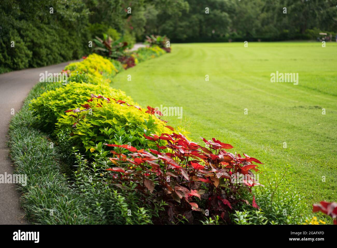 Una vista del grande prato a Bellingrath Gardens Foto Stock