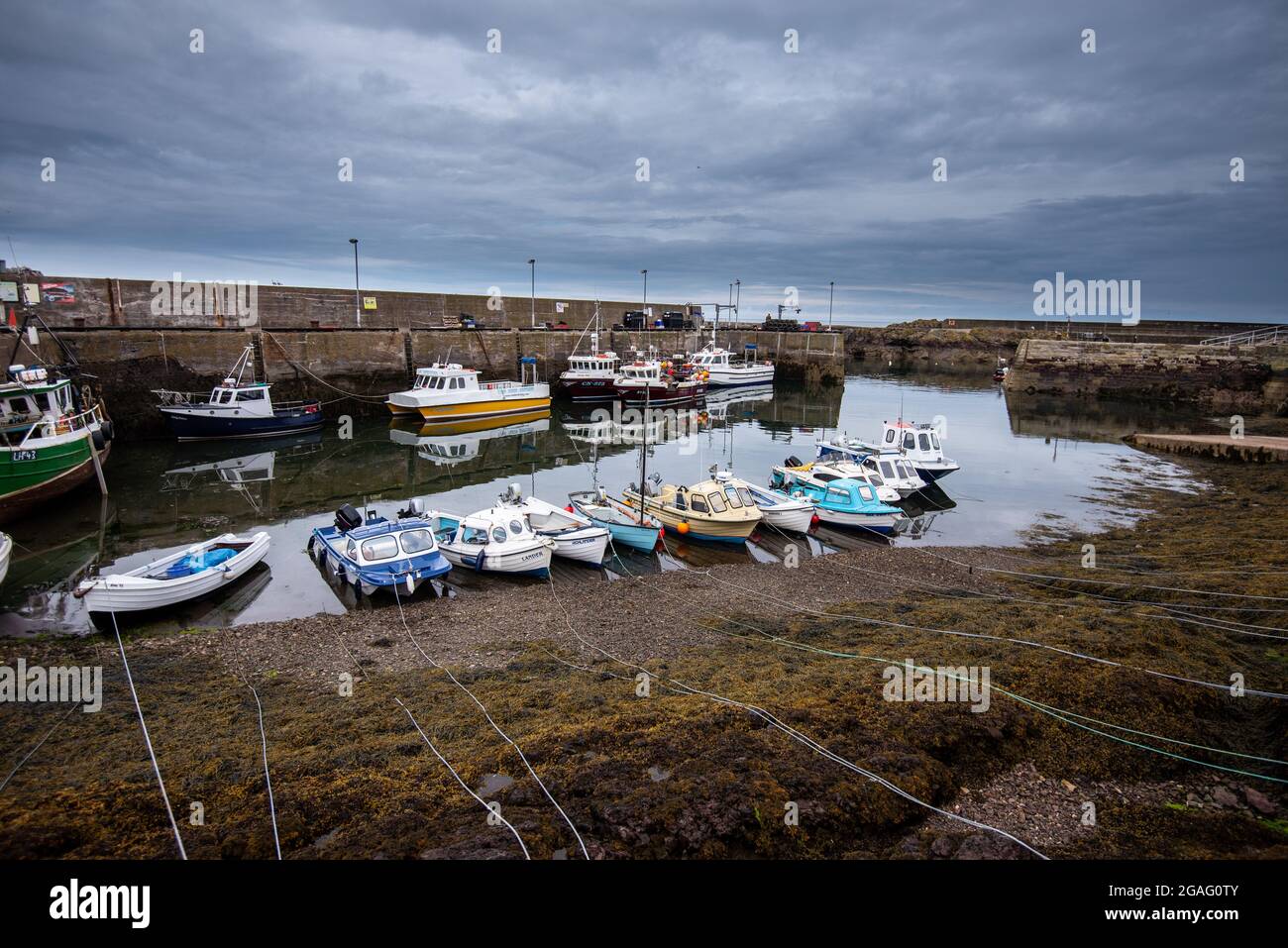 St Abbs sulla costa sud-orientale scozzese, frontiere scozzesi, Scozia, Regno Unito Foto Stock