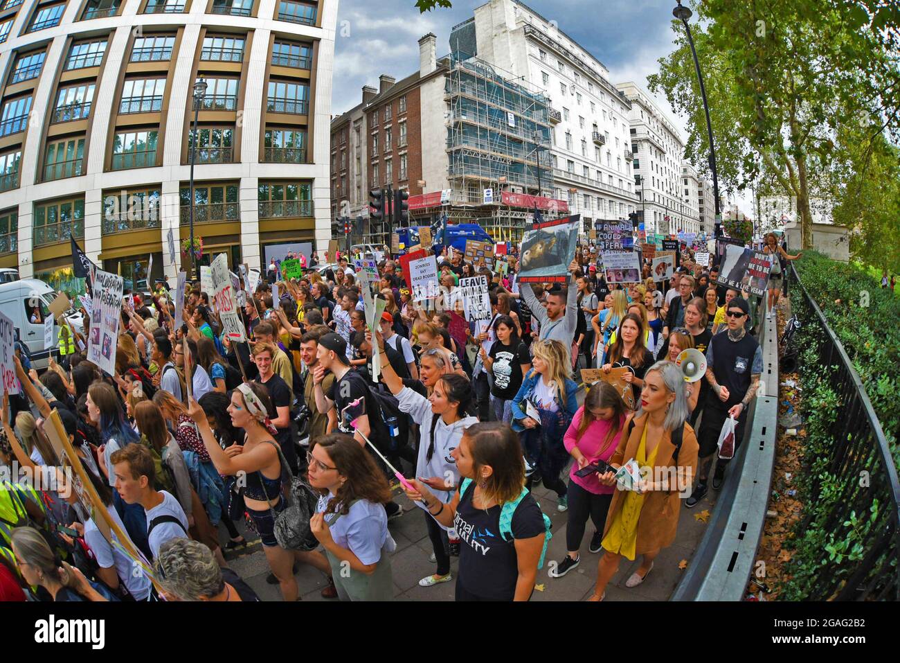 The Official Animal Rights March, Londra, 2018. Attivisti vegani che marciano attraverso la capitale del Regno Unito il 25 agosto 2018 Foto Stock