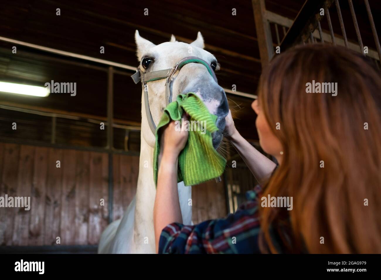 Donna e cavallo insieme nella stalla. Foto Stock