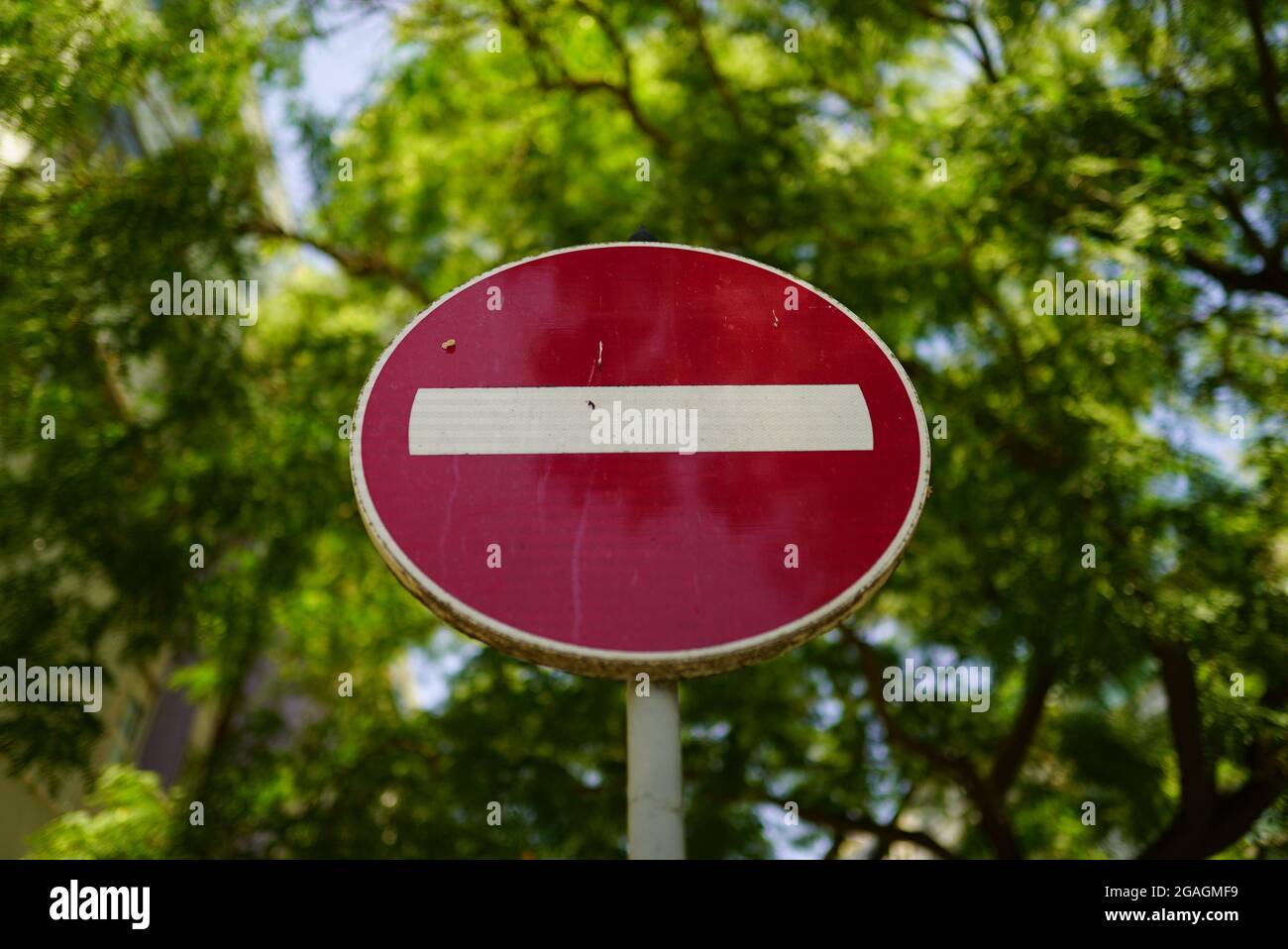Immagine ad angolo basso di un segnale di stop lungo la strada su un albero sfocato rami sfondo Foto Stock
