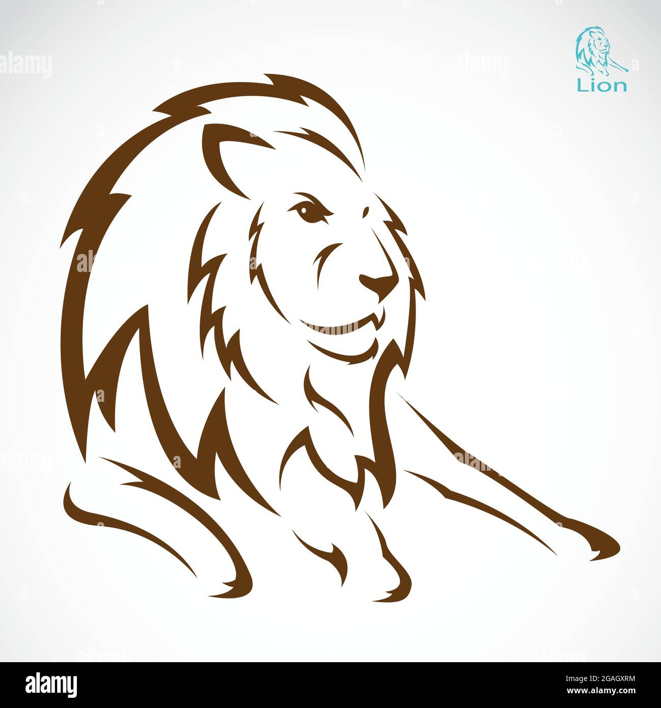 Immagine vettoriale di un leone su sfondo bianco Illustrazione Vettoriale