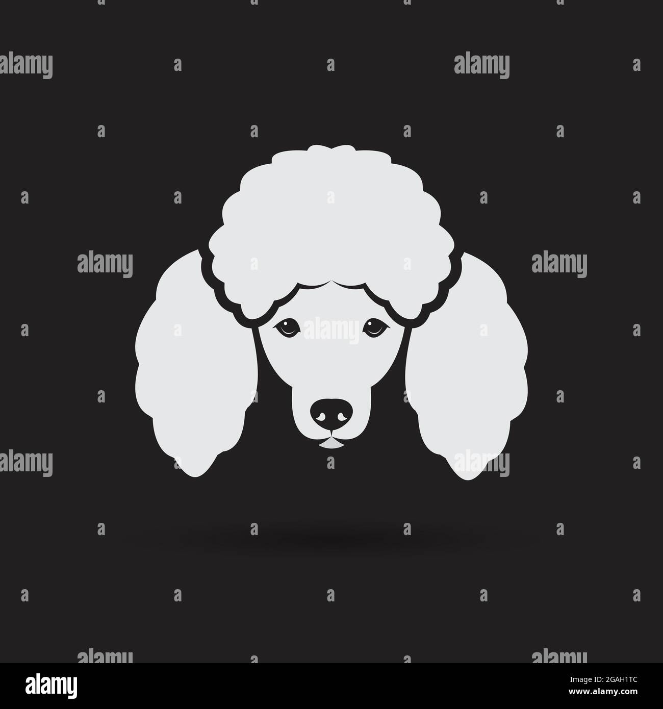 Immagine vettoriale di un cane poodle faccia su uno sfondo nero Illustrazione Vettoriale