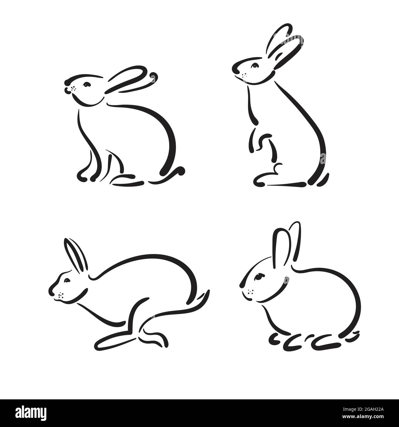 Gruppo vettoriale di coniglio disegnato a mano su sfondo bianco. Animali selvatici. Illustrazione Vettoriale