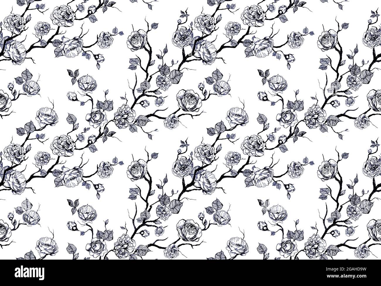 Motivo floreale grafico disegnato a mano con rose e foglie Foto Stock