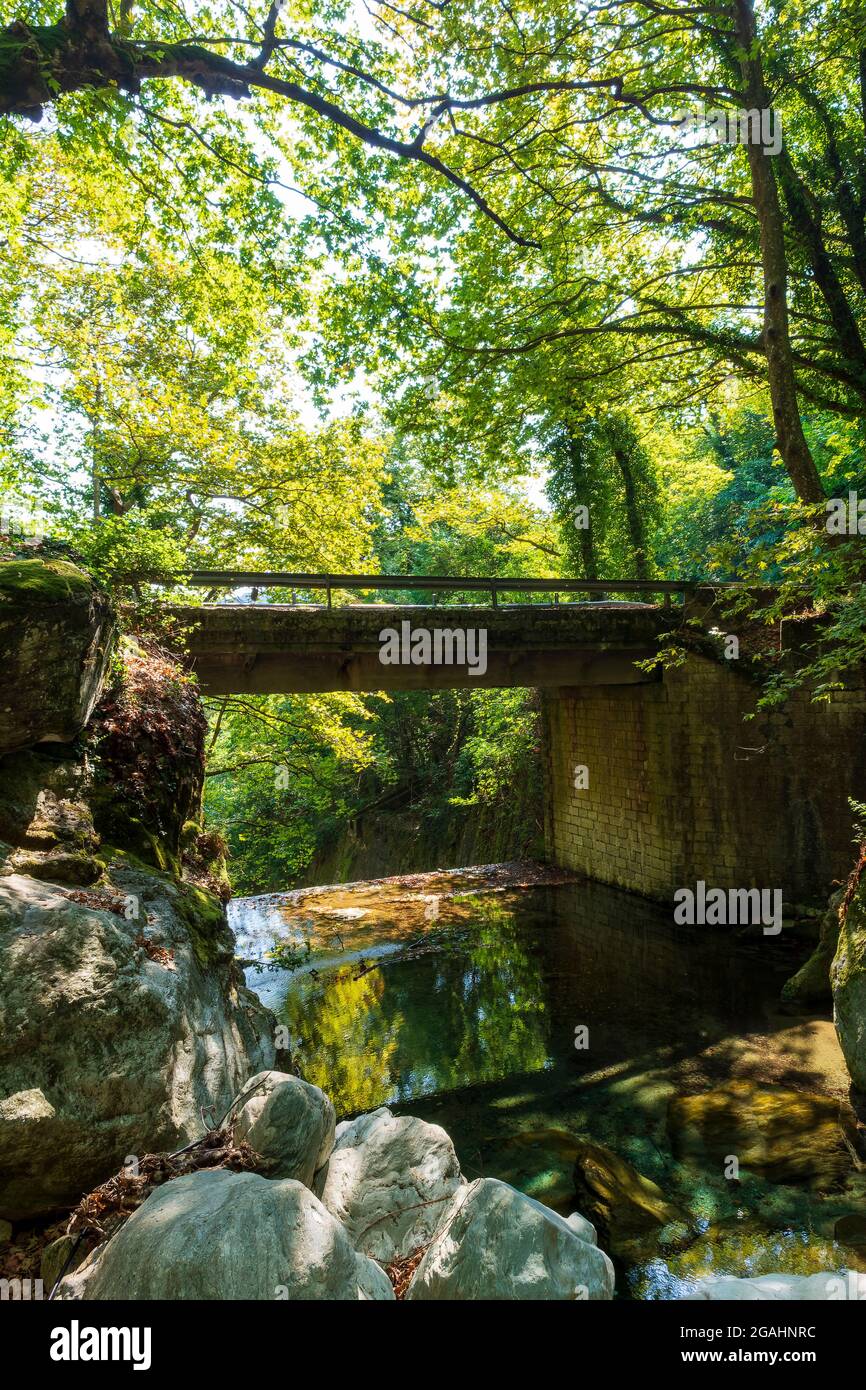 Ponte in pietra nella foresta di Pelio, Grecia Foto Stock