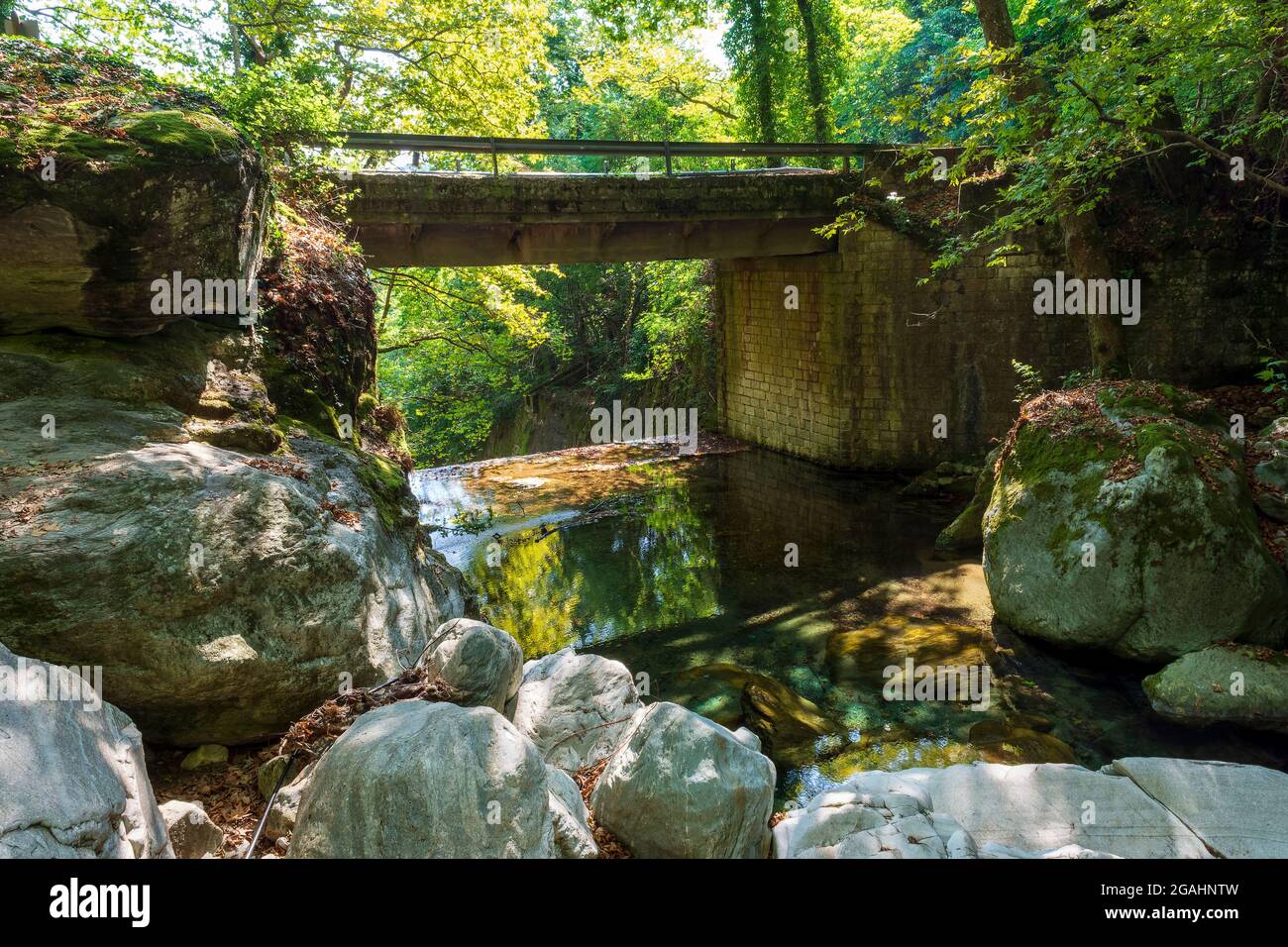 Ponte in pietra nella foresta di Pelio, Grecia Foto Stock
