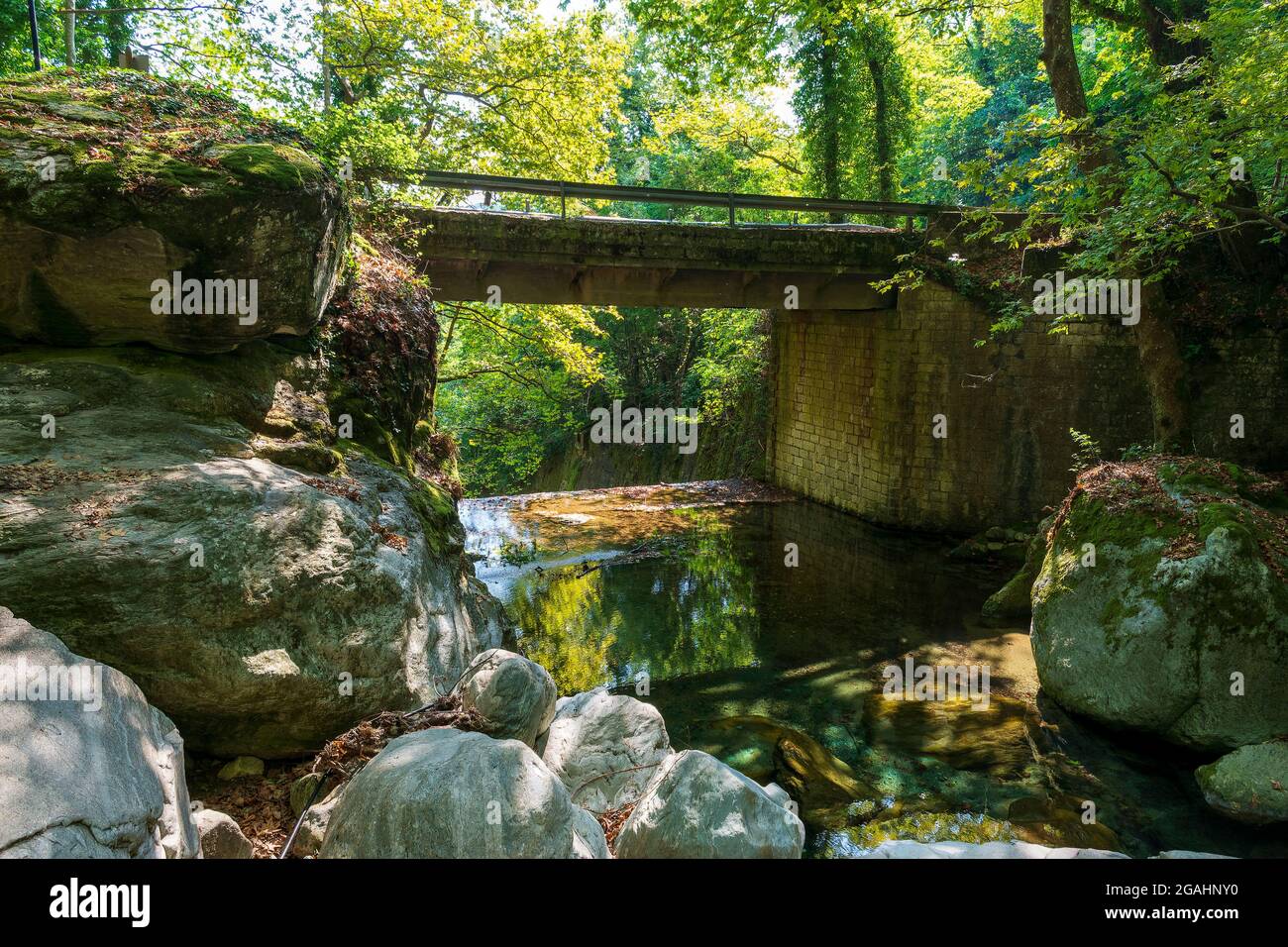 Ponte in pietra nella foresta di Pelio, Grecia Foto Stock