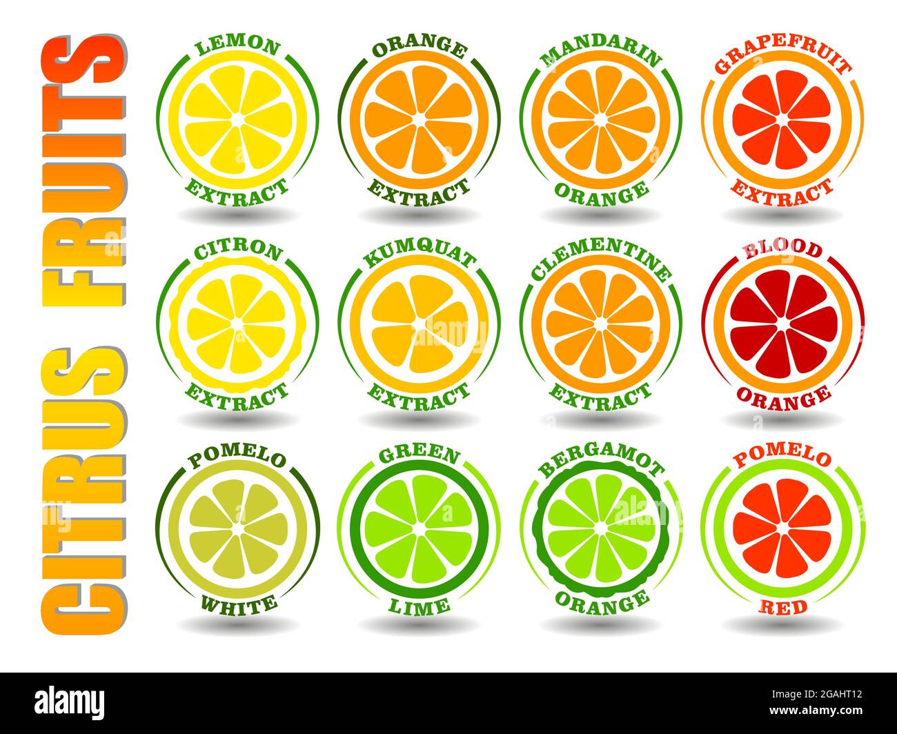 Set di concept creativi di loghi cartoni animati rotondi con icone di agrumi. Simboli grafici piatti di arancio, limone, lime, pompelmo, Pomelo, Mandarino, Illustrazione Vettoriale