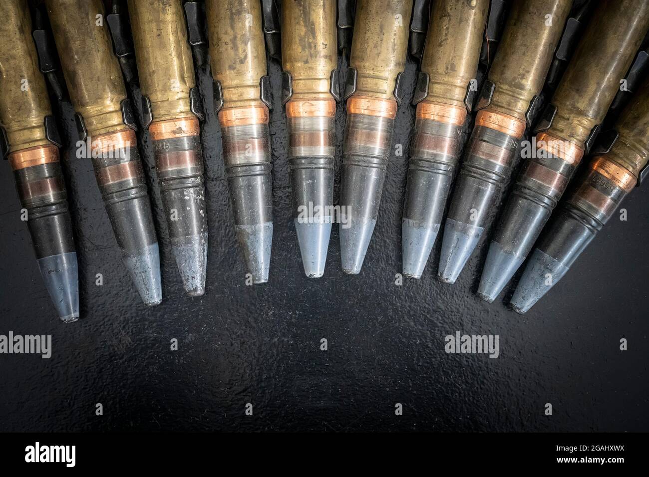 Cartuccera Elastica Con Attacco Molle - Oliva – Softair And Game - Foto 3