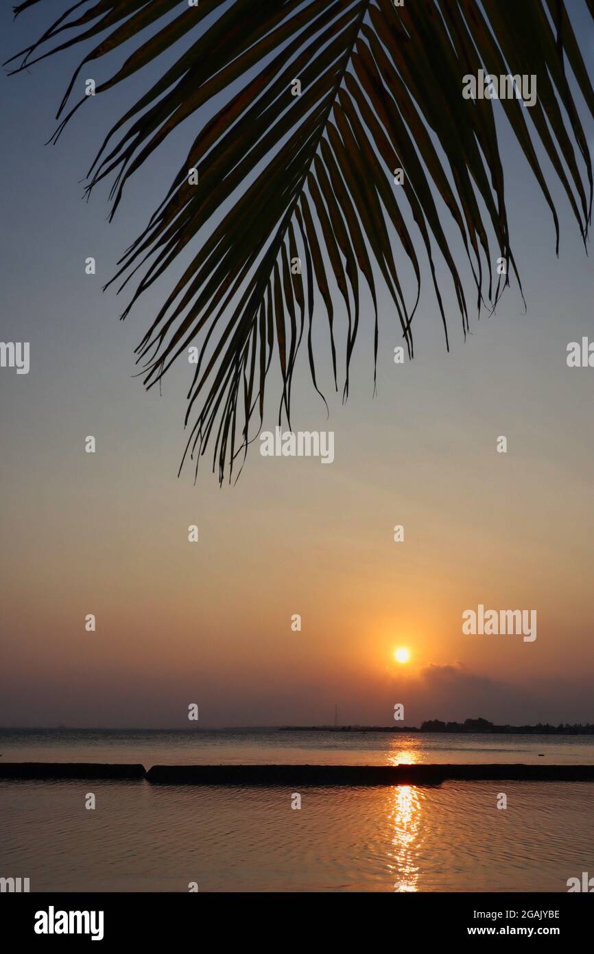 Bella vista di Palm Tree con tramonto alle Maldive. Foglia di cocco, sole, Oceano Indiano, scenario delle Maldive. Foto Stock