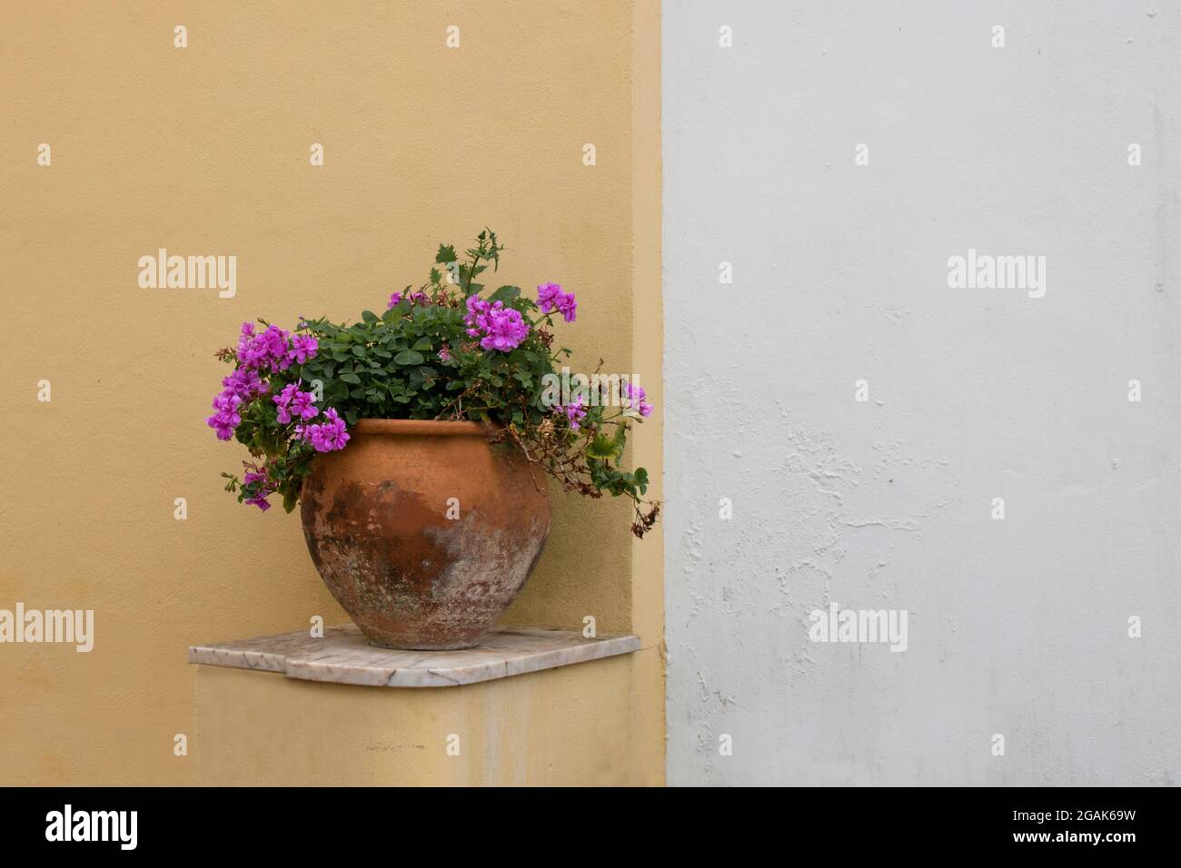Dettaglio della tradizionale decorazione esterna della casa con gerani rosa in un vecchio vaso di fiori sporchi in piedi su una mensola di marmo e una parete bianca e gialla Foto Stock